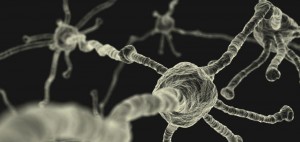 Neurons_Medium-1000