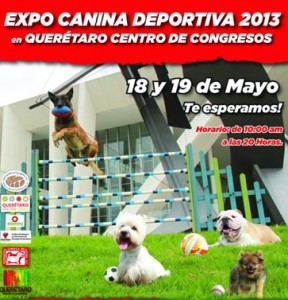 Expo Canina Deportiva 2013