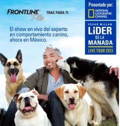 El Líder de la Manada